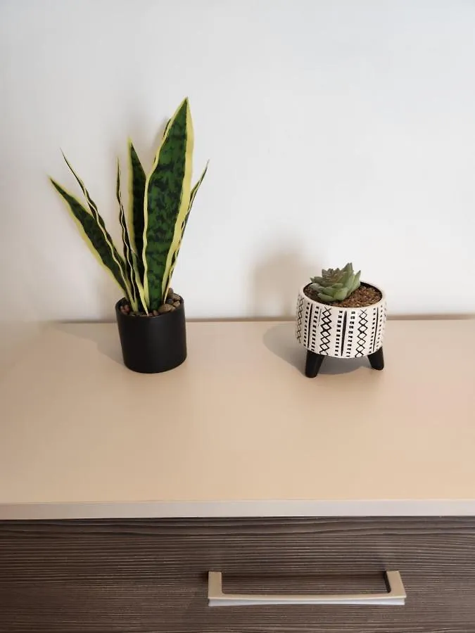 Daire Sparrow & City Pad 5 Londra